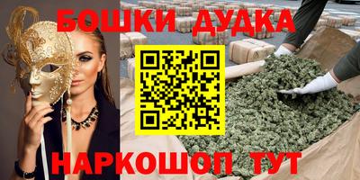 индика Аша