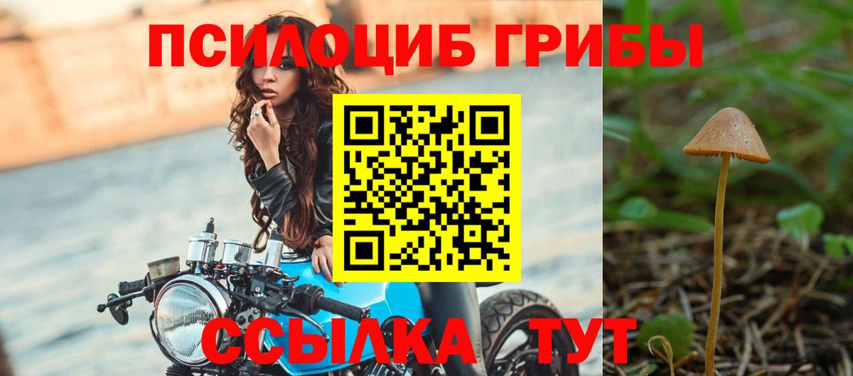 Псилоцибиновые грибы Psilocybine cubensis Алатырь